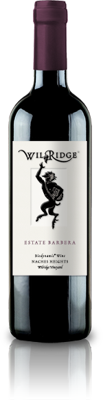 Wilridge Estate Barbera